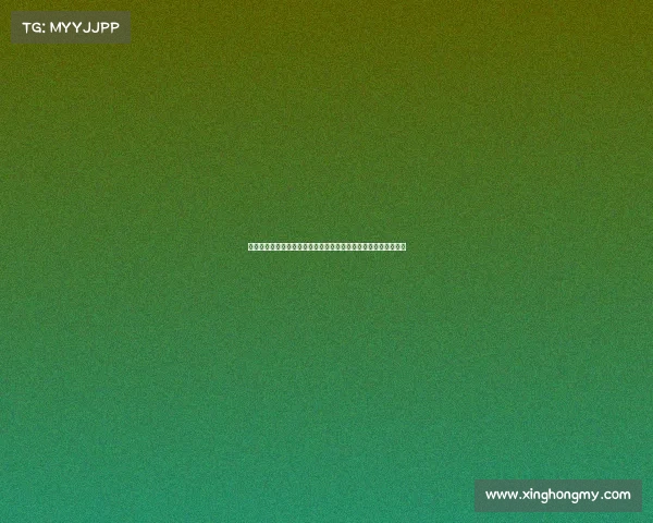 朱雨玲携手搭档夺得全锦赛女双冠军展现实力和默契助力队伍夺冠